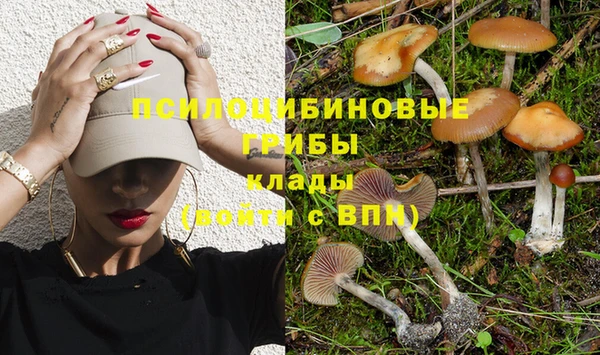 Альфа ПВП Навашино