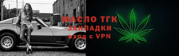 прущие грибы Горно-Алтайск