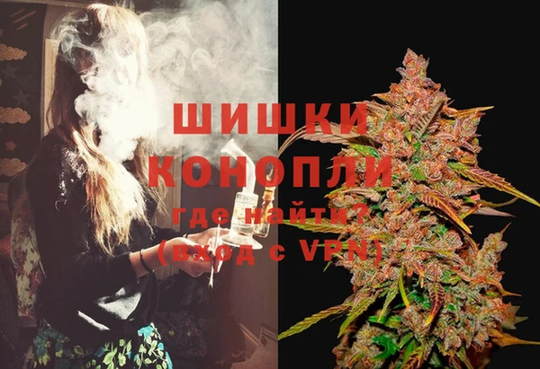 spice Надым