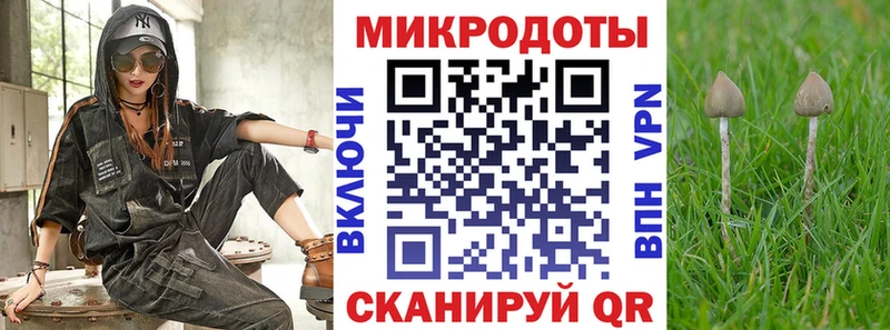Псилоцибиновые грибы мухоморы  Иланский 